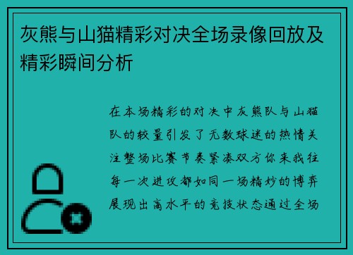 灰熊与山猫精彩对决全场录像回放及精彩瞬间分析