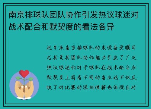 南京排球队团队协作引发热议球迷对战术配合和默契度的看法各异